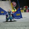 CW Fotos Snowboard Worldcup Jauerling 2012 102